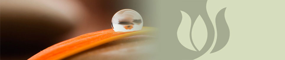 San Diego - Acupuncture Wellness - inspiremyhealing.com